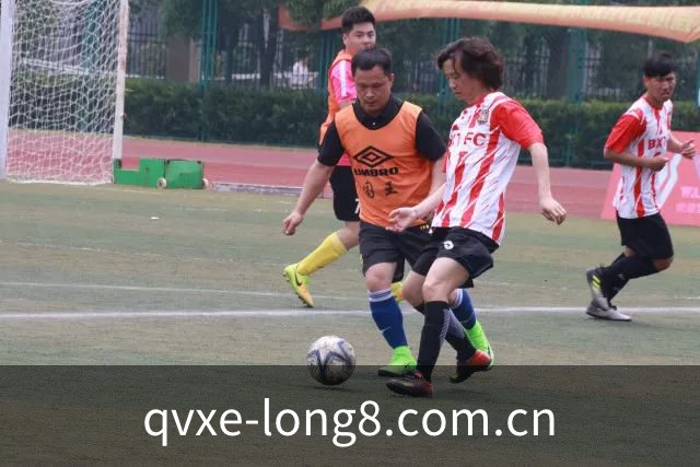 龙8唯一 APP